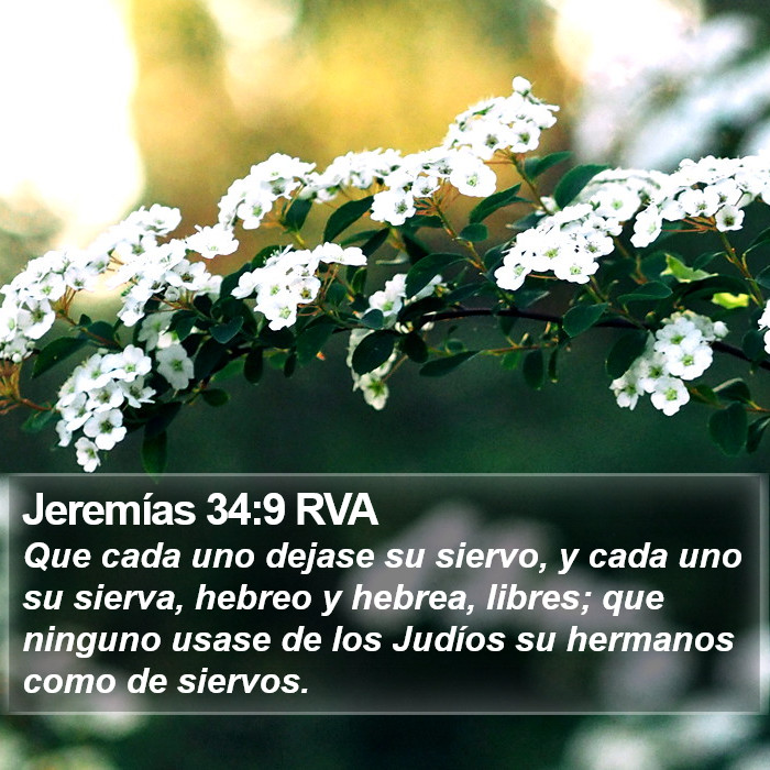 Jeremías 34:9 RVA Bible Study