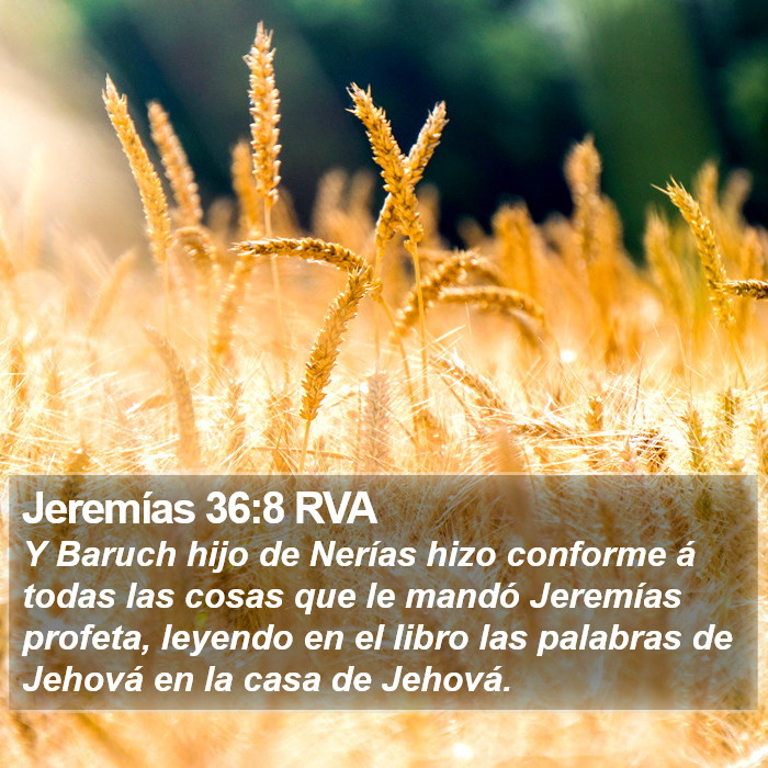 Jeremías 36:8 RVA Bible Study