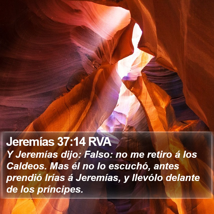 Jeremías 37:14 RVA Bible Study