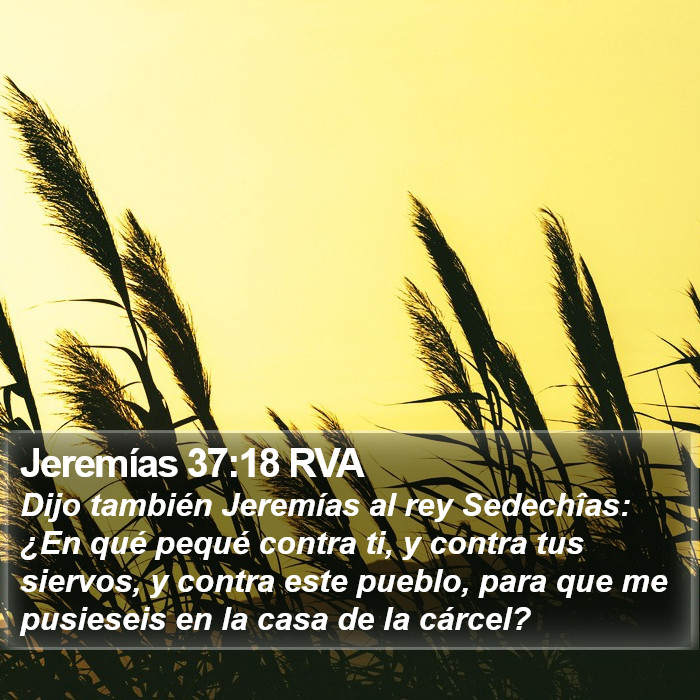 Jeremías 37:18 RVA Bible Study