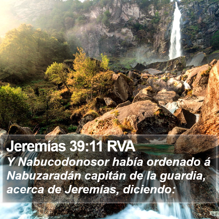 Jeremías 39:11 RVA Bible Study