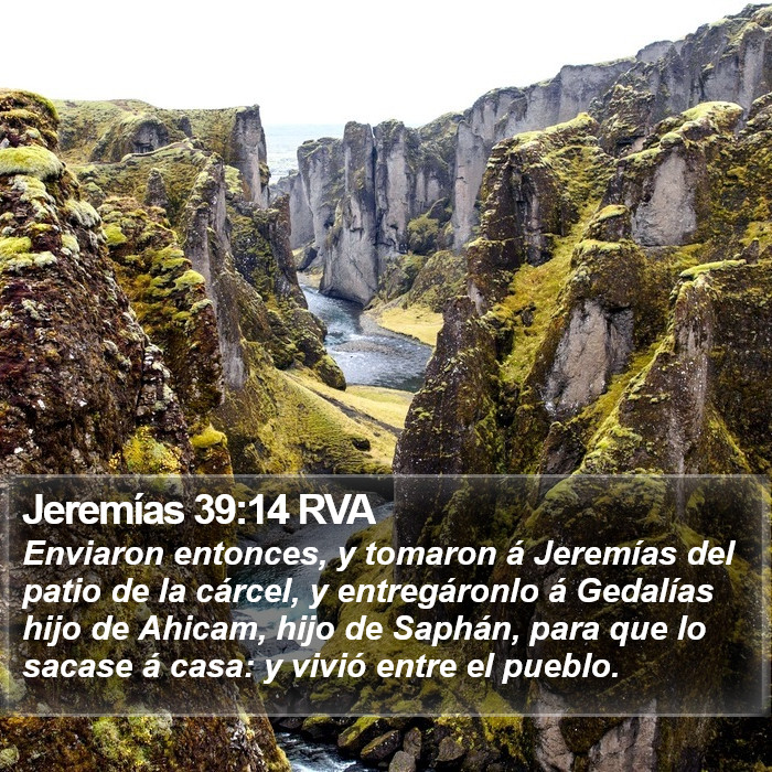 Jeremías 39:14 RVA Bible Study