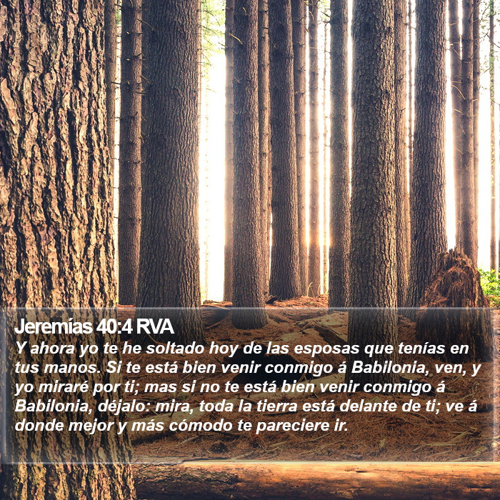 Jeremías 40:4 RVA Bible Study