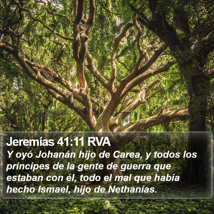 Jeremías 41:11 RVA Bible Study