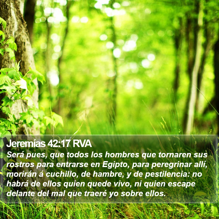 Jeremías 42:17 RVA Bible Study