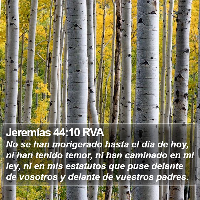 Jeremías 44:10 RVA Bible Study