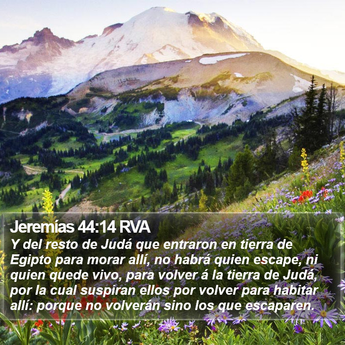 Jeremías 44:14 RVA Bible Study