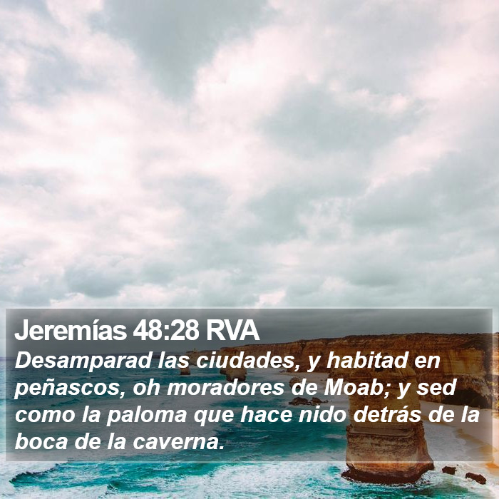 Jeremías 48:28 RVA Bible Study