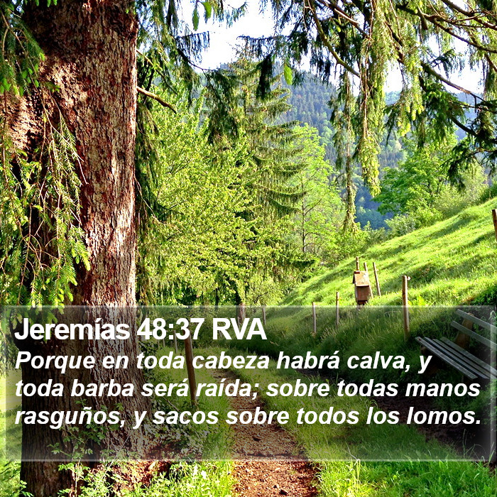 Jeremías 48:37 RVA Bible Study