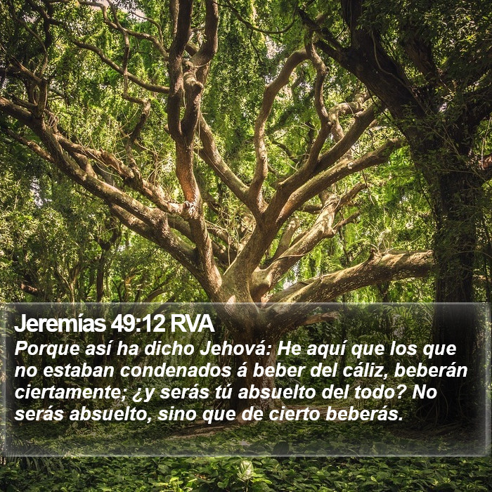 Jeremías 49:12 RVA Bible Study