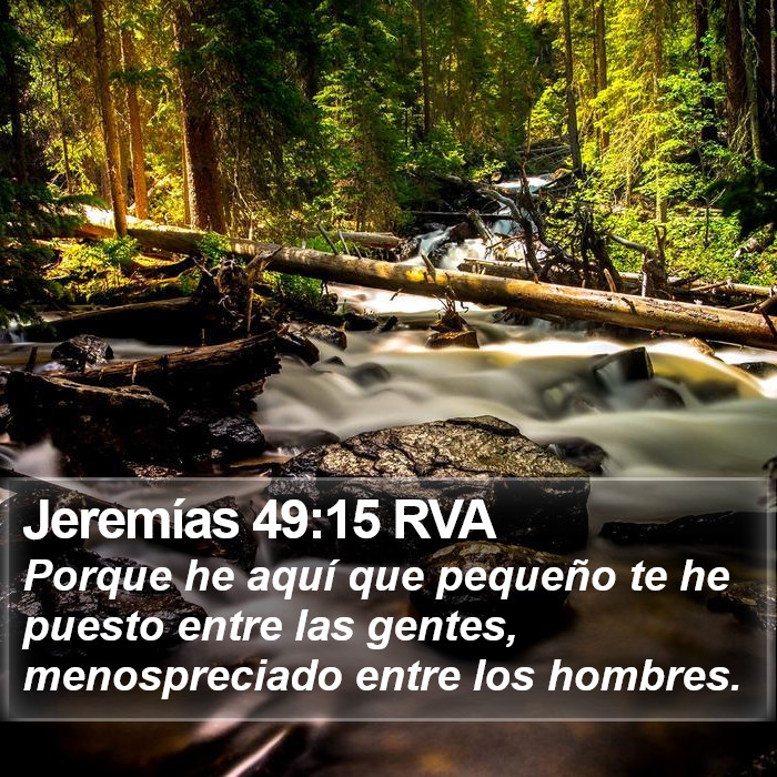 Jeremías 49:15 RVA Bible Study