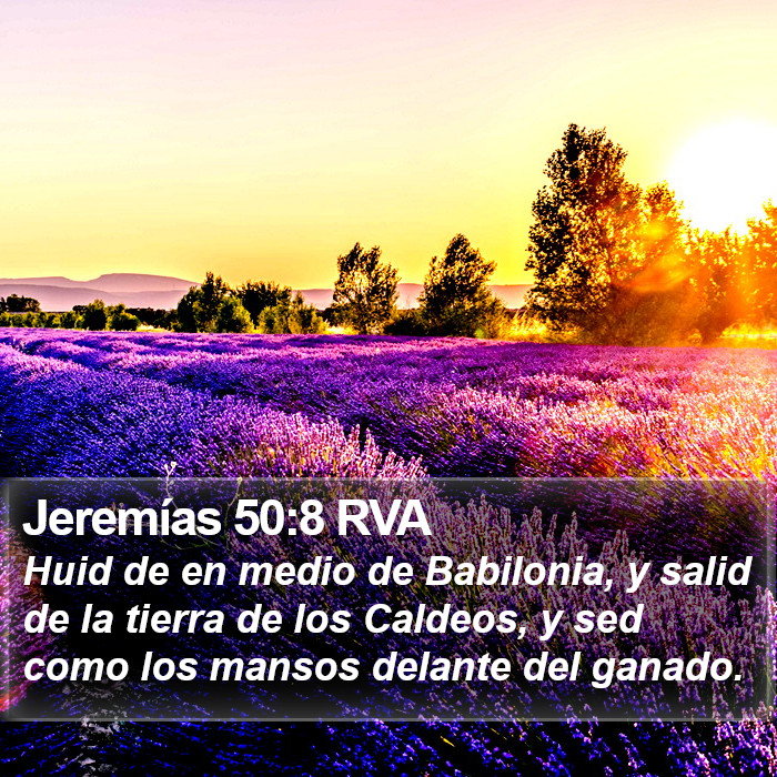 Jeremías 50:8 RVA Bible Study