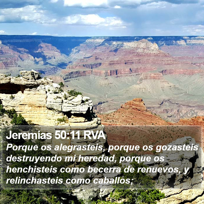 Jeremías 50:11 RVA Bible Study