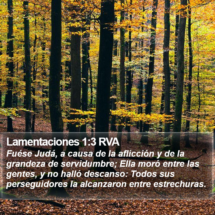 Lamentaciones 1:3 RVA Bible Study