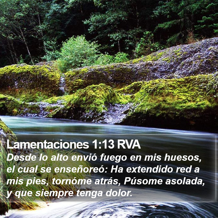 Lamentaciones 1:13 RVA Bible Study