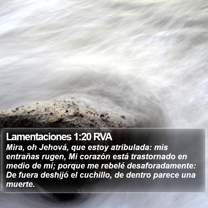 Lamentaciones 1:20 RVA Bible Study