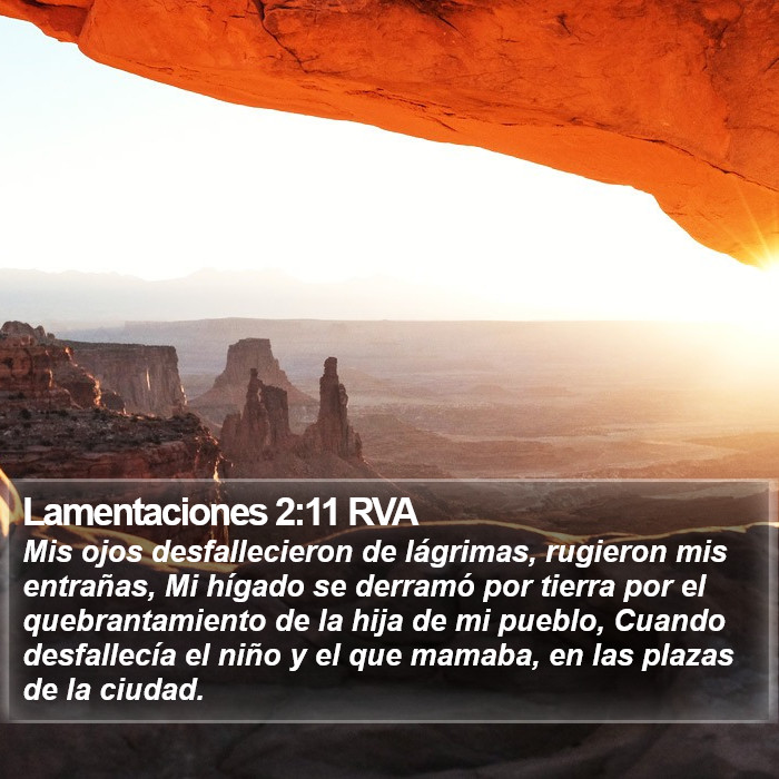 Lamentaciones 2:11 RVA Bible Study