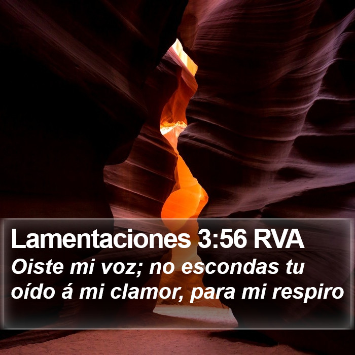 Lamentaciones 3:56 RVA Bible Study