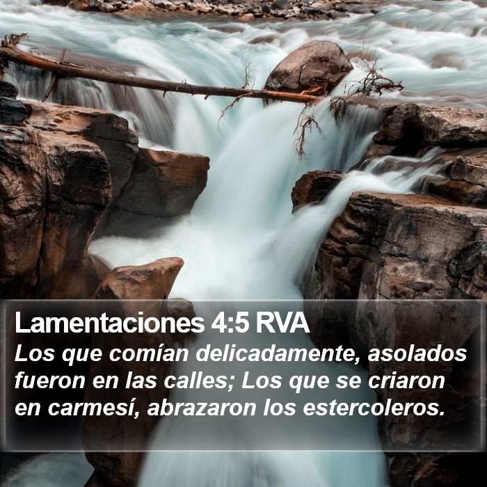 Lamentaciones 4:5 RVA Bible Study