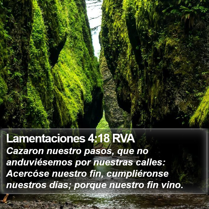 Lamentaciones 4:18 RVA Bible Study