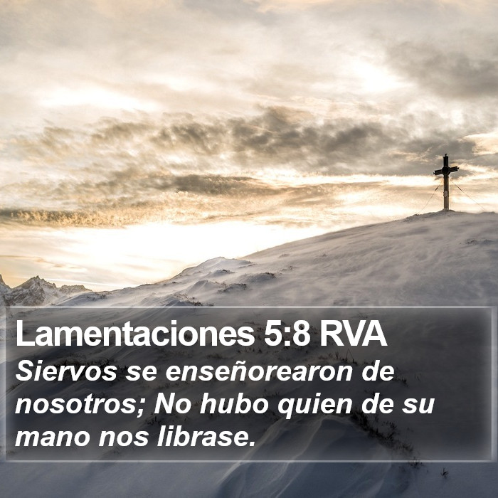 Lamentaciones 5:8 RVA Bible Study