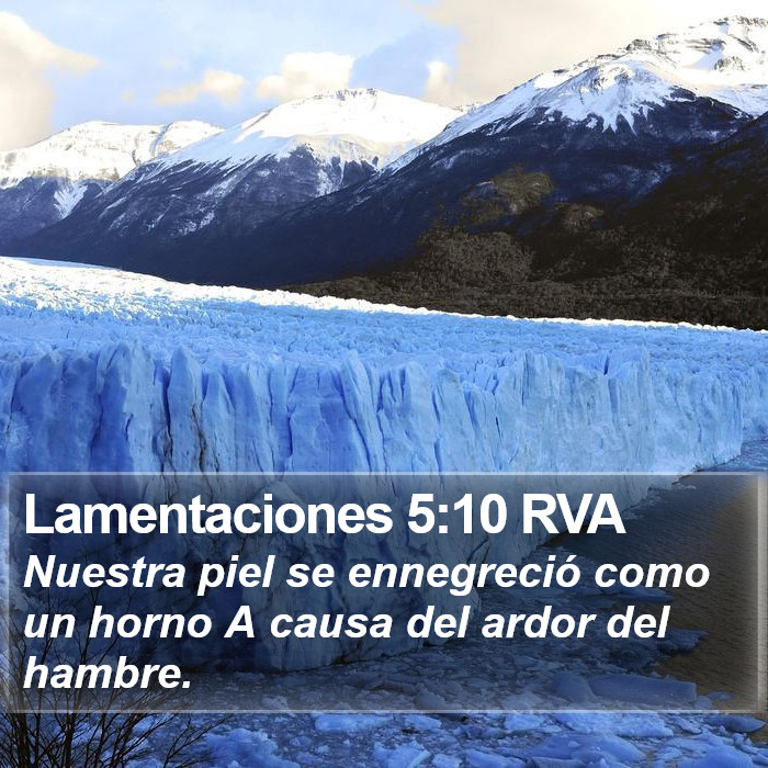 Lamentaciones 5:10 RVA Bible Study