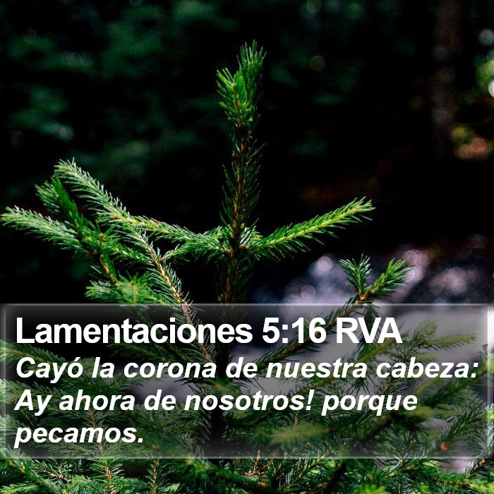 Lamentaciones 5:16 RVA Bible Study