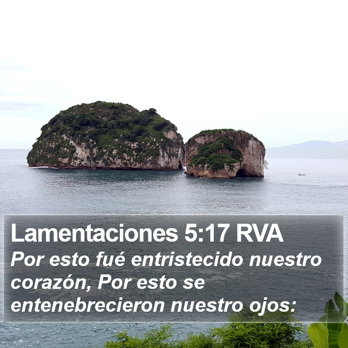 Lamentaciones 5:17 RVA Bible Study