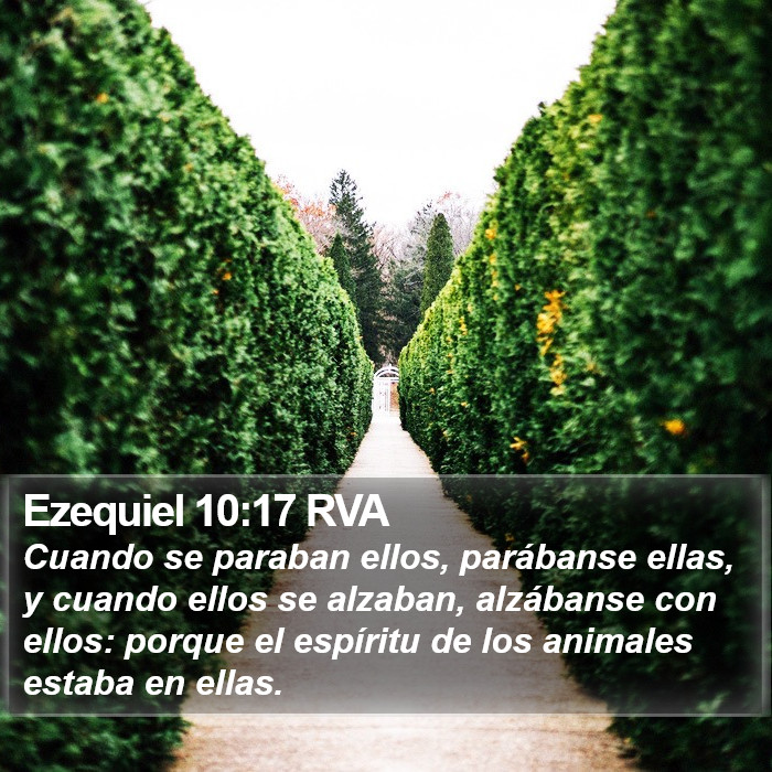 Ezequiel 10:17 RVA Bible Study