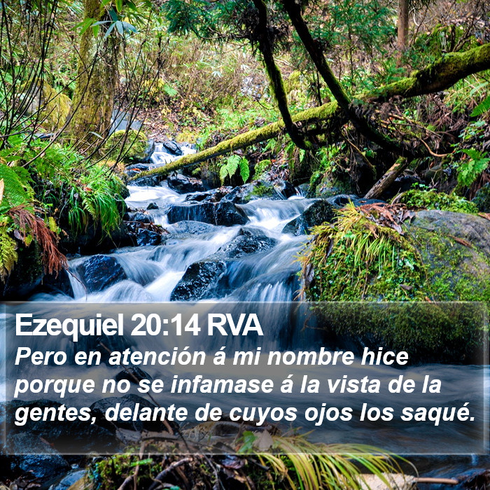 Ezequiel 20:14 RVA Bible Study