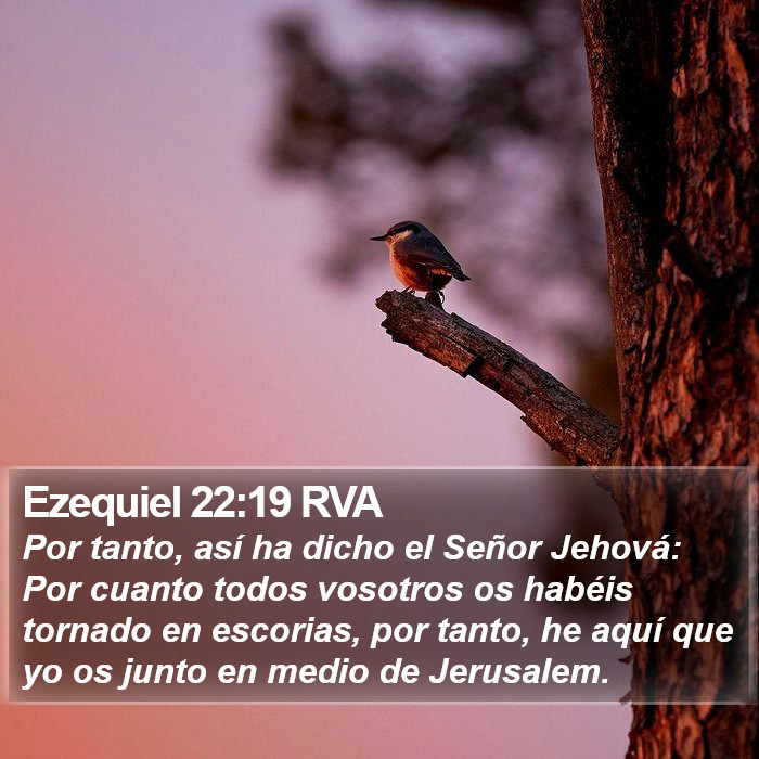 Ezequiel 22:19 RVA Bible Study