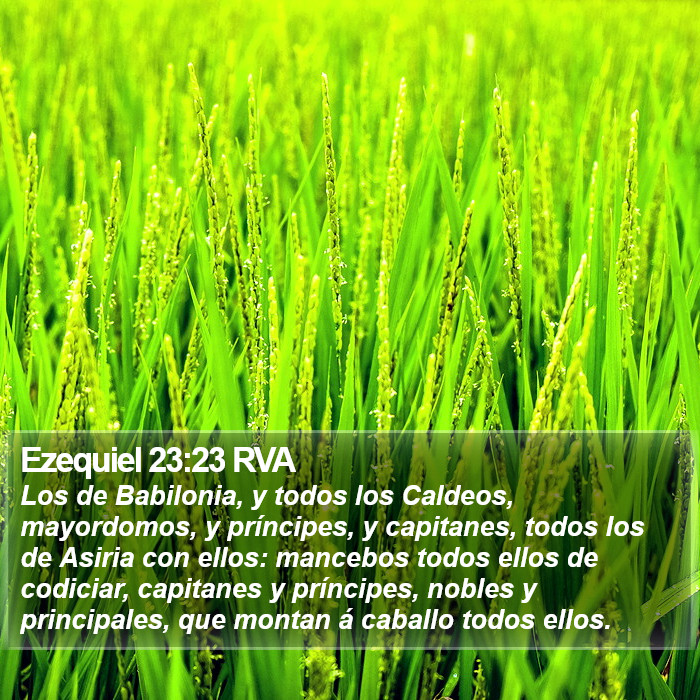 Ezequiel 23:23 RVA Bible Study