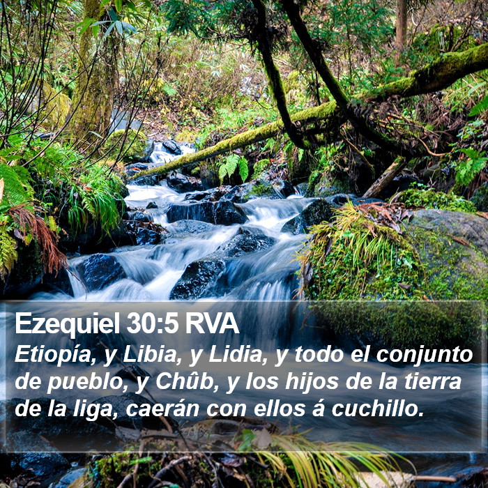 Ezequiel 30:5 RVA Bible Study