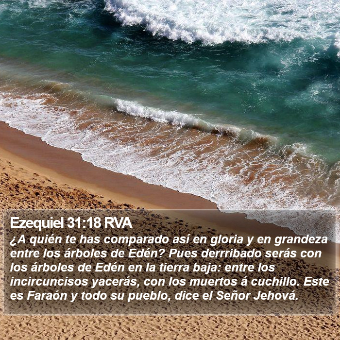 Ezequiel 31:18 RVA Bible Study