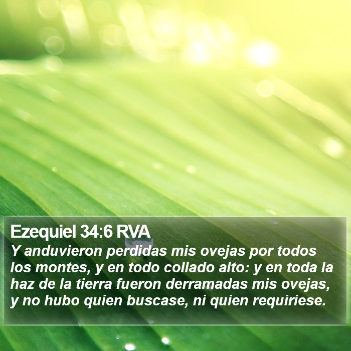 Ezequiel 34:6 RVA Bible Study