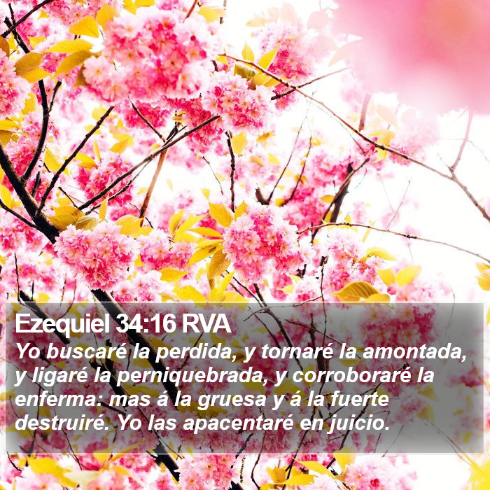 Ezequiel 34:16 RVA Bible Study