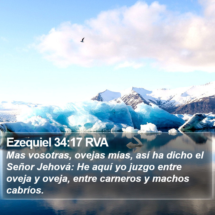 Ezequiel 34:17 RVA Bible Study