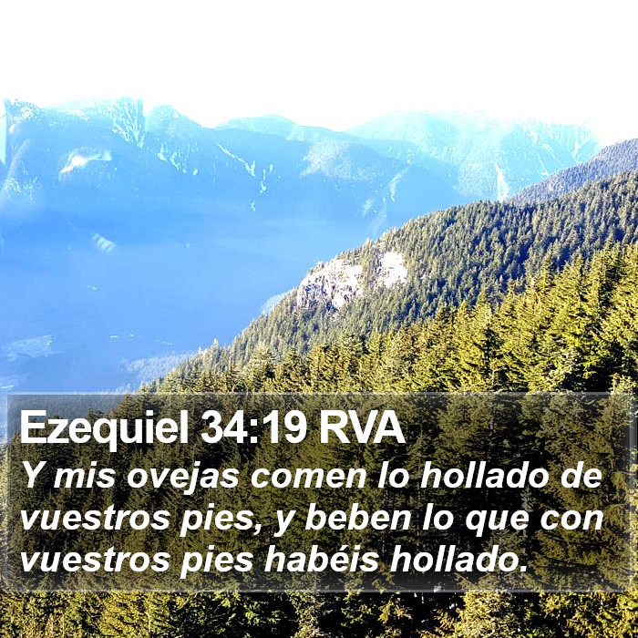 Ezequiel 34:19 RVA Bible Study