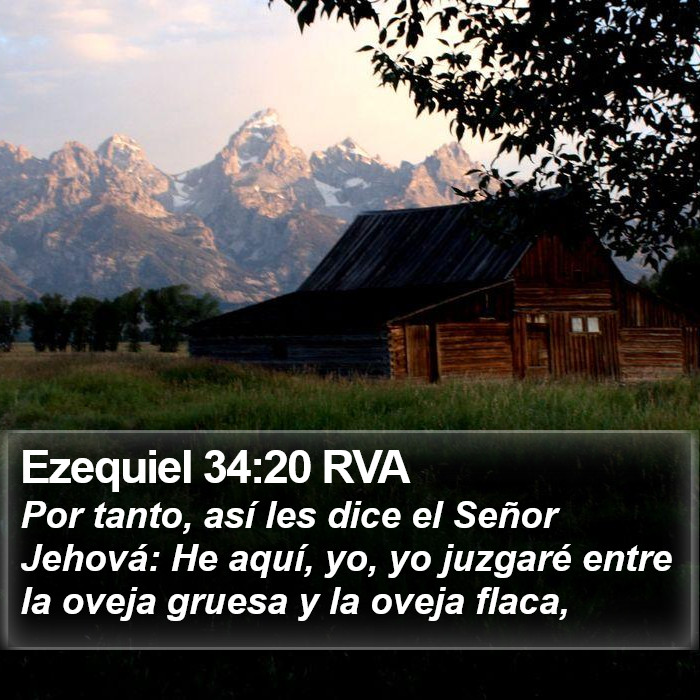 Ezequiel 34:20 RVA Bible Study