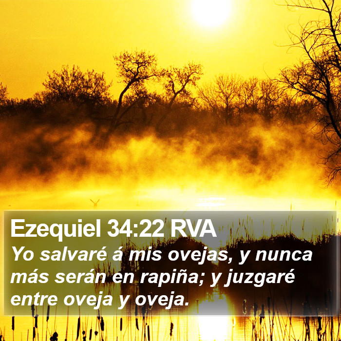 Ezequiel 34:22 RVA Bible Study