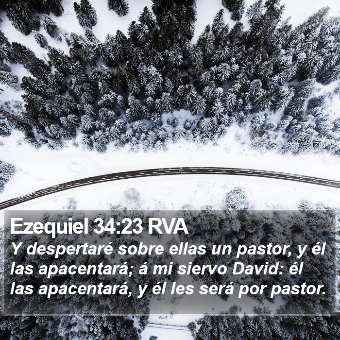 Ezequiel 34:23 RVA Bible Study