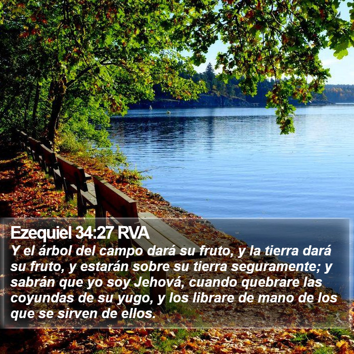 Ezequiel 34:27 RVA Bible Study