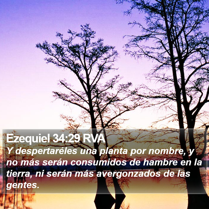 Ezequiel 34:29 RVA Bible Study