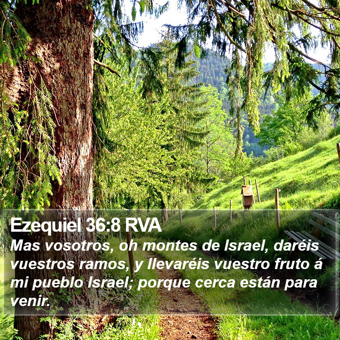 Ezequiel 36:8 RVA Bible Study