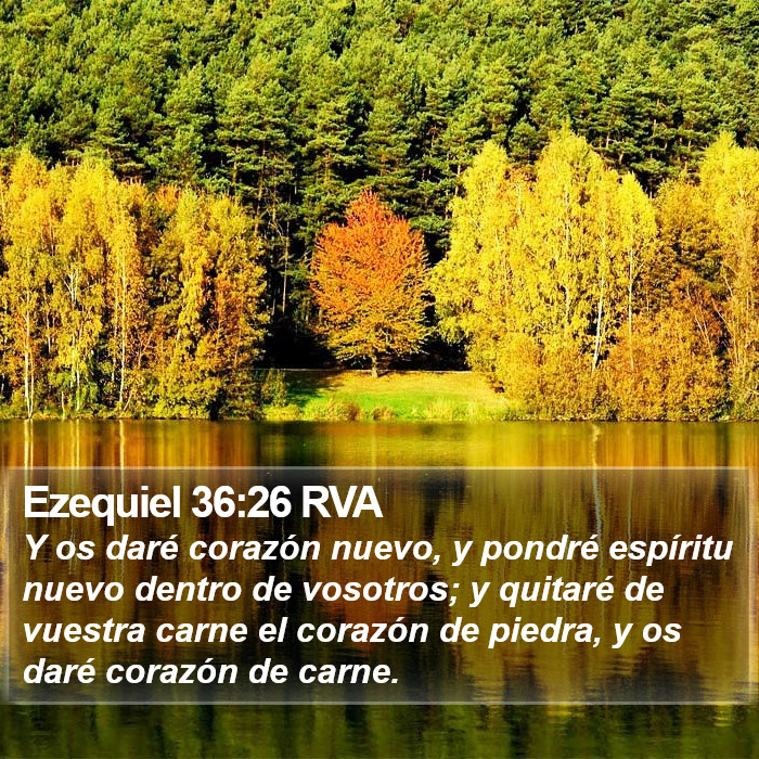 Ezequiel 36:26 RVA Bible Study