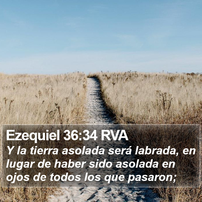 Ezequiel 36:34 RVA Bible Study