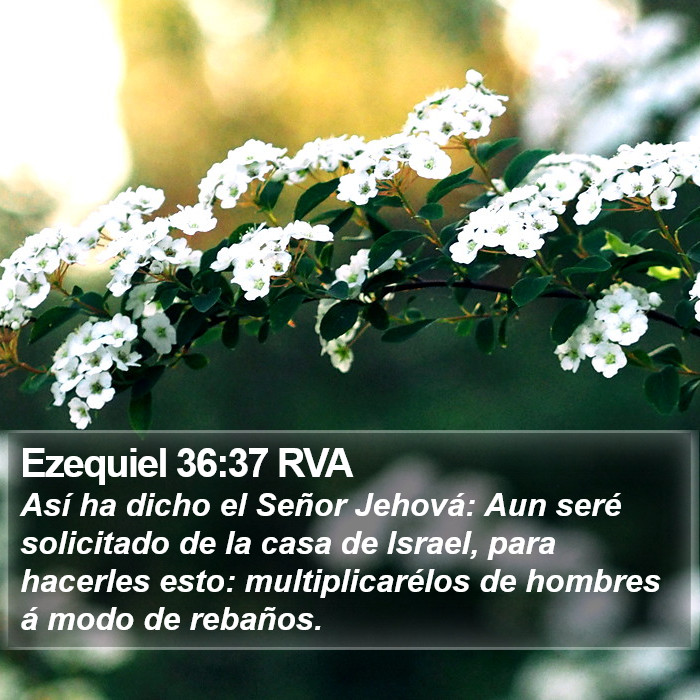 Ezequiel 36:37 RVA Bible Study