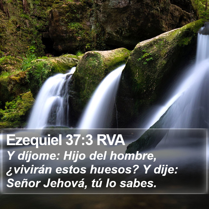 Ezequiel 37:3 RVA Bible Study