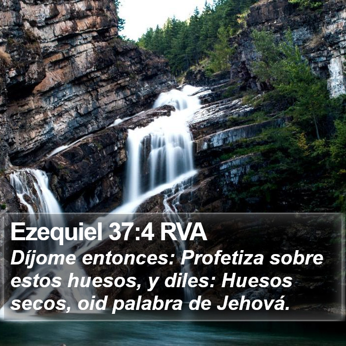 Ezequiel 37:4 RVA Bible Study