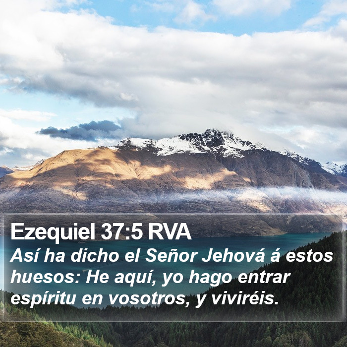 Ezequiel 37:5 RVA Bible Study